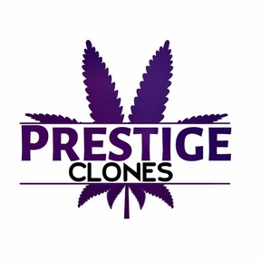 Prestige Clones