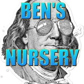 Ben's Nursery & Seed Bank - ACCOUNT DISABLED