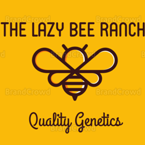The Lazy Bee Ranch