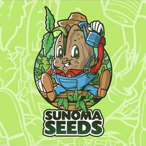Sunoma Seeds