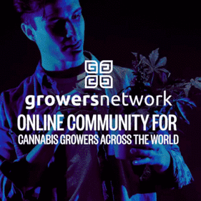 Growers Network