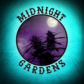 Midnight_Gardens