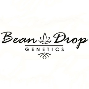 Bean Drop Genetics 