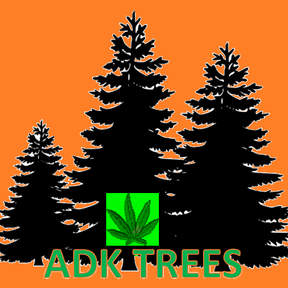ADK TREES