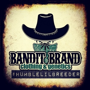 Bandit Brand Genetics