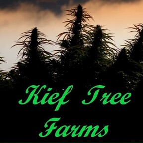 Kief Tree Farms
