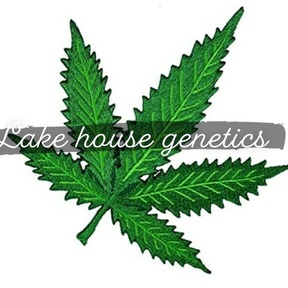 Lake House Genetics