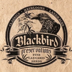 Blackbird Preservations