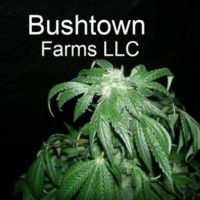 Bushtown Farms LLC