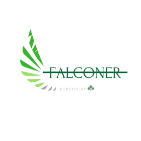 Falconer Pakistani Landrace - ACCOUNT DISABLED