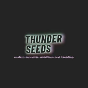 Thunder Seeds
