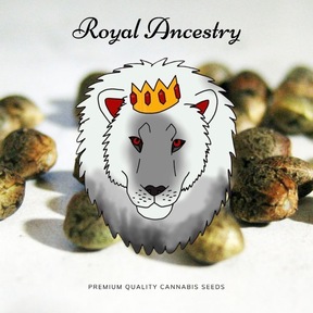 Royal Ancestry Seeds