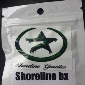 Shoreline Genetics
