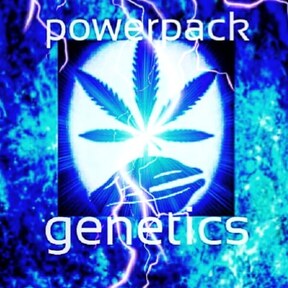 Powerpack Genetics