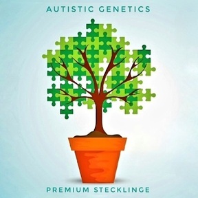 Autistic Genetics