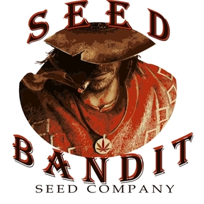 Seed bandit seed company