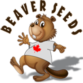 Beaver Seedbank - ACCOUNT DISABLED