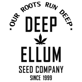Deep Ellum Seeds